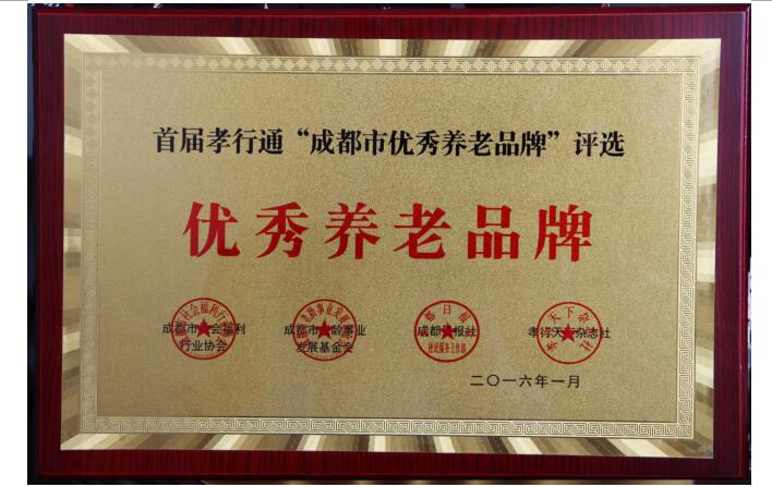 壽而康優(yōu)秀養老品牌證書(shū)